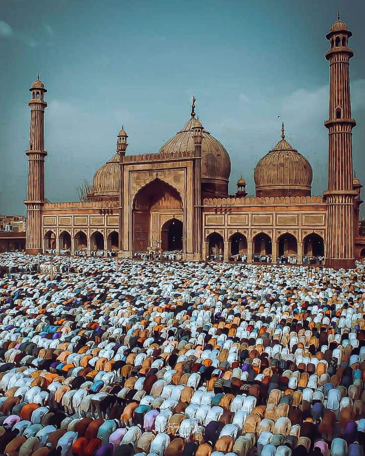 Shadab celebration space